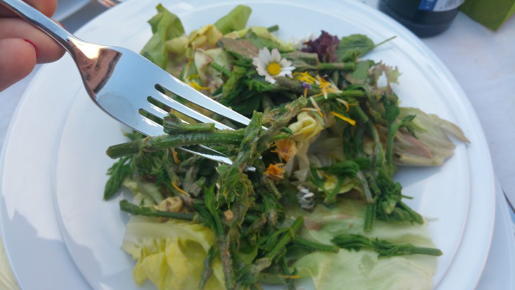 Salat_Hopfensprossen