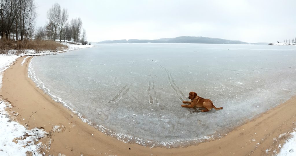 Nach der langanhaltenden Kälte ist schließlich auch der Große Brombachsee nahezu komplett zugefroren.