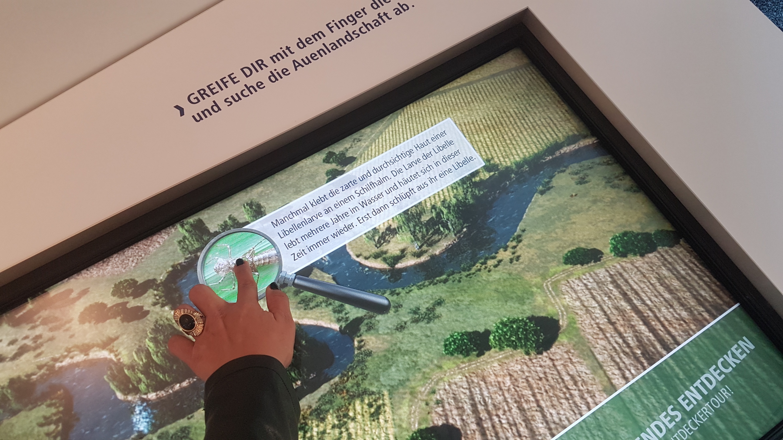 MUSEENsWert Das Fluvius Museum Fluss und Teich im MuseumsCheck