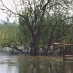Hochwasser an der Walder Altmühlbrücke