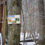 Tobstation beim Walderlebnispfad "Klaus, die Fledermaus" | Foto: Vera Held