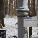 Umweltstation am Walderlebnispfad "Klaus, die Fledermaus" | Foto: Vera Held